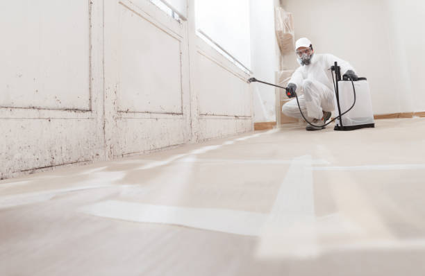 24/7 Emergency Mold Remediation experts in Wallops Island, VA